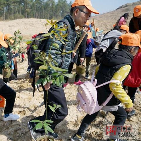 杭州林爸爸最新消息揭秘