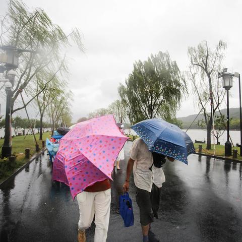 最新台风来袭，浙江杭州的防御与应对