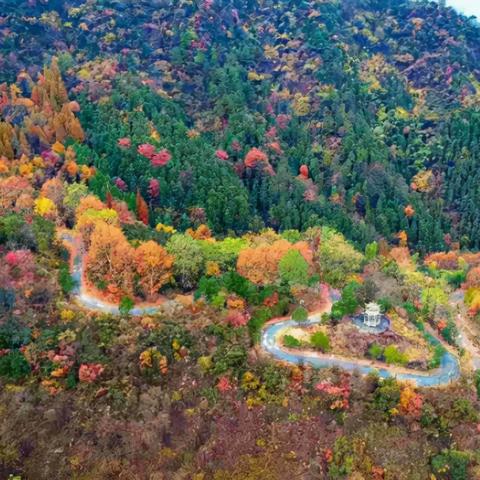 最新杭州旅游攻略三天