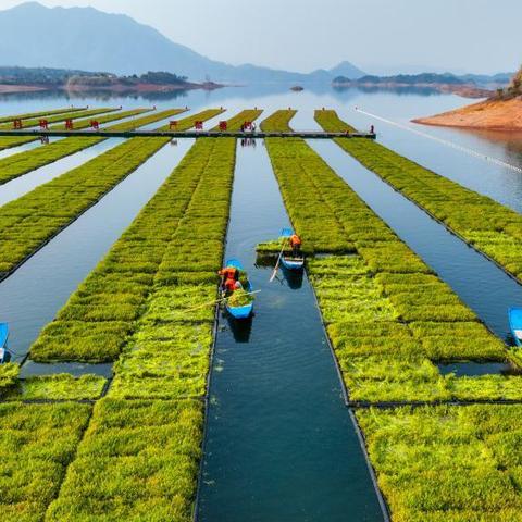 杭州最新小区，繁华都市的居住新篇章