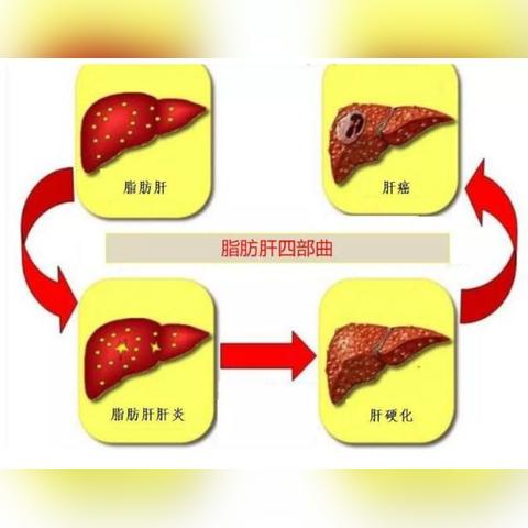 最新杭州风险等级查询，如何快速获取并理解风险信息