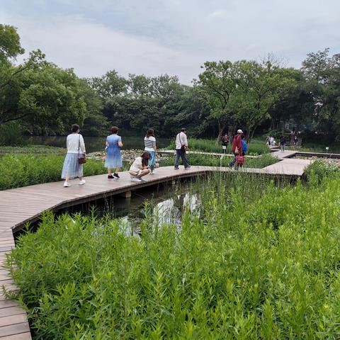 揭秘杭州之行幕后花絮，最新动态一览