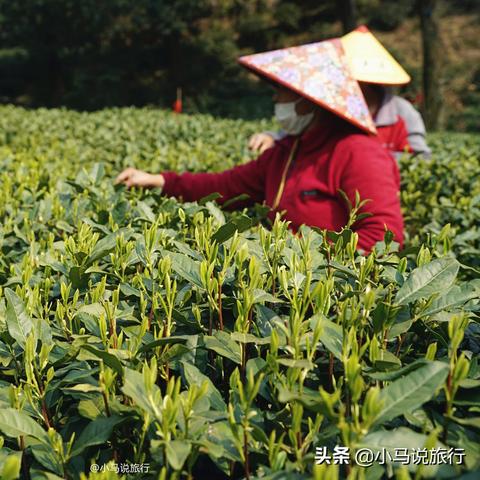 杭州疫情最新动态，西湖区域的最新消息