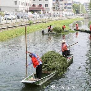 杭州最新保洁招聘信息，就业市场的新机遇