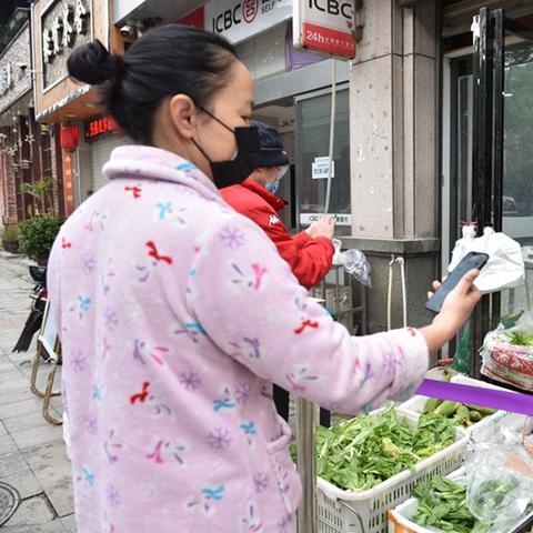 杭州临湖苑最新规划项目，未来城市绿洲的蓝图