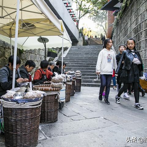 杭州旅游，乘船游览，领略湖光山色之美