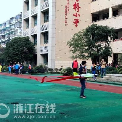 杭州市场鸽子价格最新动态分析