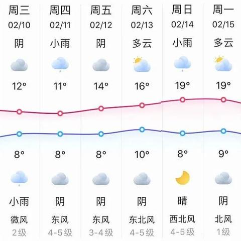 2025年1月27日 第49页