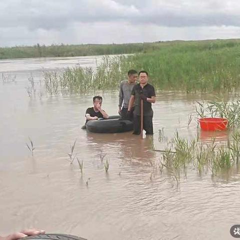 杭州湾跨海大桥，最新涨潮消息与影响分析