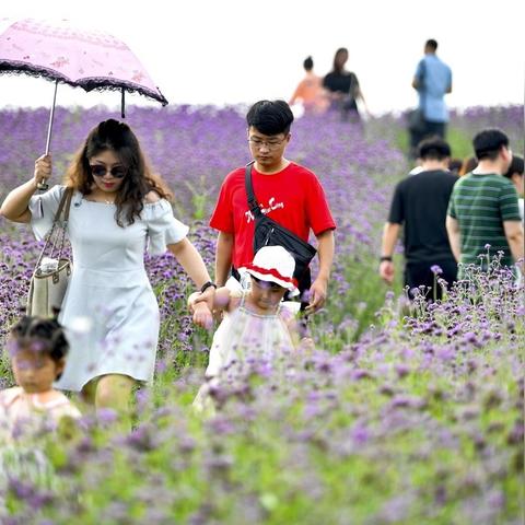 最新杭州火车票图片的探索与解读