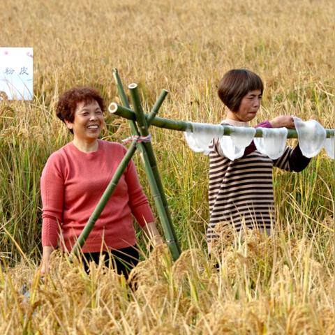 杭州地铁仁和规划图最新解读