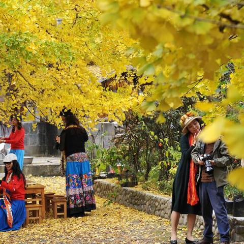 杭州市最新市管干部风采展示