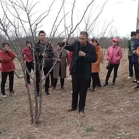 杭州杏花村土地流转新动向