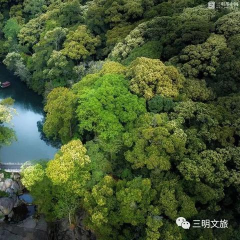 杭州至南平，最新出行规定与要求