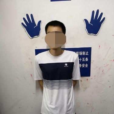 杭州入室盗窃案视频最新，警情追踪与安全防范