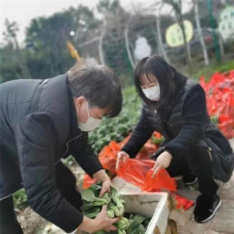 杭州善贤疫情最新情况分析报告