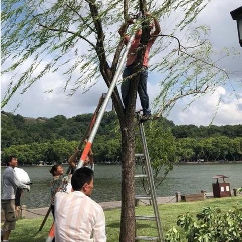 最新上海至杭州快递停运事件深度解析