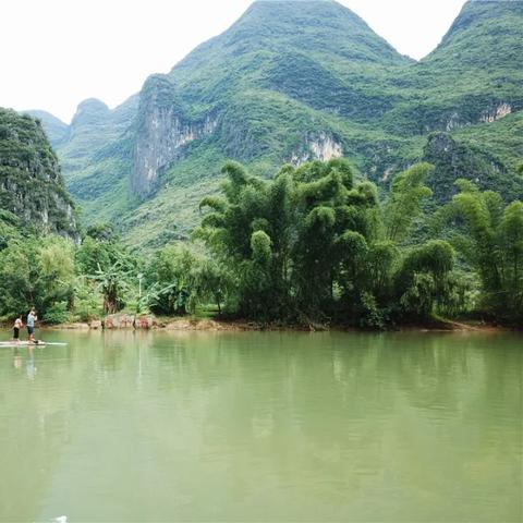 杭州梅海最新消息，探访美丽的梅海风光与文化