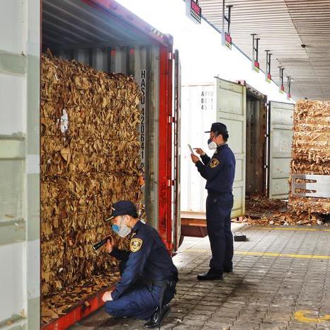 杭州大型纸箱价格表最新