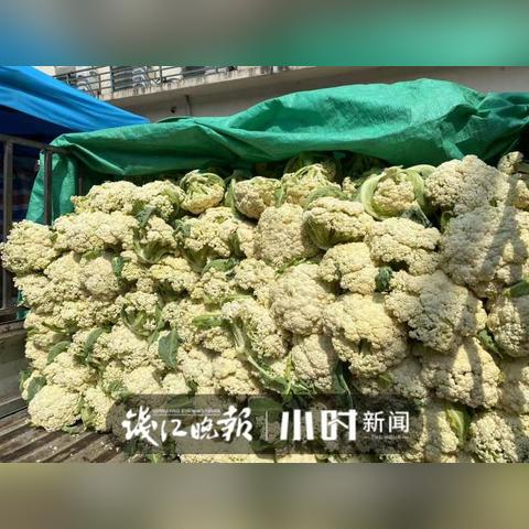 疫情下的杭州，最新动态地图解读