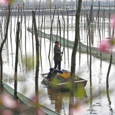 杭州文海府，繁华之地的璀璨新篇章——最新开盘时间揭晓